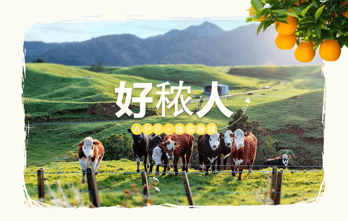 成都微信開發(fā)