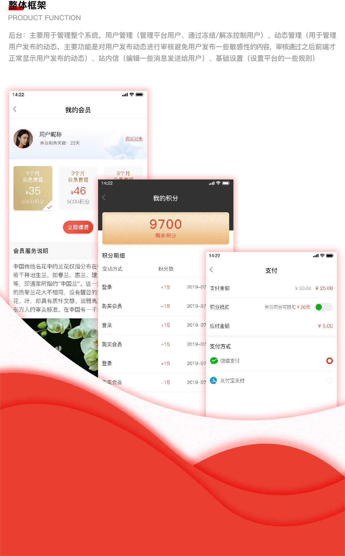 成都社交app開發