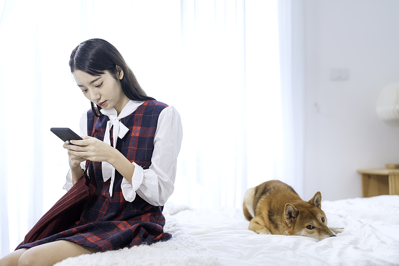 成都APP開發(fā)：寵物社交APP軟件開發(fā)，哪方面值得注意？